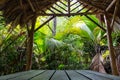 Wooden shelter with thatched roof made of palm leaves in tropical rainforest, Praslin, Seychelles. Royalty Free Stock Photo
