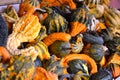 Shelves Stacked with Festive Fall Gourds