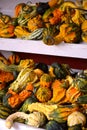 Shelves Stacked with Festive Fall Gourds