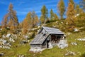 Wooden shepards hut at OvÃÂarija mountain pasture in Julian alps