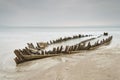 Wooden shipwreck Royalty Free Stock Photo
