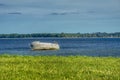 A wooden shipwreck in shallow and muddy water conveys isolation and abandon concepts with loneliness and desolation feelings