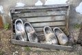 Wooden shoes