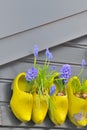 Wooden shoes Klomp like flowerpots with flowers