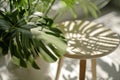 a wooden side table with large leaves