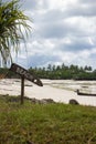 Wooden sign Beach on tropical coast. Low tide landscape with signpost Beach. Beach with palm trees and boats. Paradise direction. Royalty Free Stock Photo