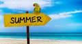 Wooden sign on beautiful beach and clear sea wit text summer. A green parrot sits on a pointer to a tropical paradise Royalty Free Stock Photo