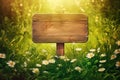 Wooden Sign Board in Summer Forest. AI generative Royalty Free Stock Photo