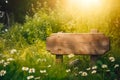 Wooden Sign Board in Summer Meadow Royalty Free Stock Photo