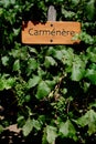 Wooden sign of Carmenere grapes type Royalty Free Stock Photo