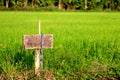 Cemetery in the meadow