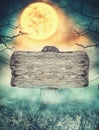 Wooden sign in dark landscape with spooky moon. Halloween design