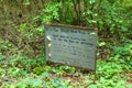 A wooden sign and a doll head on the ground surrounded by lush green trees on the Doll`s Head Trail at Constitution Lakes