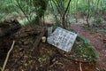 a wooden sign and a doll head on the ground surrounded by lush green trees on the Doll`s Head Trail at Constitution Lakes