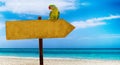 Wooden sign with empty place for your text on a beautiful beach and clear sea . A green parrot sits on a pointer to a tropical Royalty Free Stock Photo