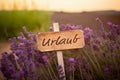 Sign in a lavender field with german text: Urlaub - Generative AI