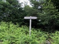 Wooden sign post for the Siedigkopfweg near Gengenbach in Black Forest Royalty Free Stock Photo