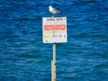 Wooden sign at sea with a seagull on top