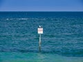 Wooden sign at sea with a seagull on top