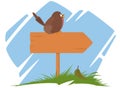 Wooden sign with sitting bird. Funny animal Royalty Free Stock Photo