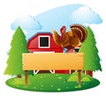 Wooden sign template and turkey in farmyard