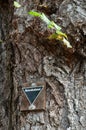 a sign on a tree warns the user of the warning Royalty Free Stock Photo