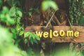 Wooden sign and write the word welcome when accepting