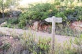 Wooden signage indicating a rural footpath