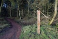 Wooden signpost for The Glen Trail in Blairadam Forest Royalty Free Stock Photo