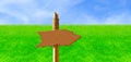 Wooden Signpost in Green Field