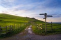 Wooden signpost near a path Royalty Free Stock Photo