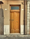 Wooden simple double door