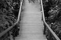 Wooden sky walk or walkway cross over treetop at outdoor garden. Royalty Free Stock Photo