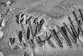 A wooden slated sand fence is partly buried in an ocean beach dune Royalty Free Stock Photo