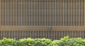 Wooden slatted wall on black backdrop