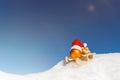 Wooden sledge with a christmas ball, a pointed cap and peanuts