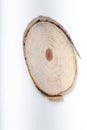 Wooden slice, cut, of young trees with annual rings Royalty Free Stock Photo