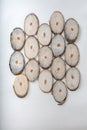 Wooden slices, cut, of young trees with annual rings Royalty Free Stock Photo