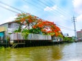 Wooden slums on stilts the riverside of Chao Praya River in Bangkok, Thailand Royalty Free Stock Photo