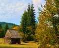 Wooden small rural cabin in the middle of an autumn forest surrounded by lush vegetation Royalty Free Stock Photo