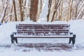 A wooden snow covered bench in the park Royalty Free Stock Photo