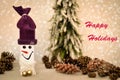 Wooden snowman and pine cones with Happy Holidays text Royalty Free Stock Photo