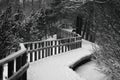 Wooden snowy path in winter forest