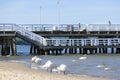 Wooden Sopot pier in sunny day, swans on the sandy beach, Sopot, Poland