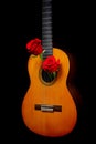 Spanish Guitar With A Pair Of Valentine Red Roses Against Black Background