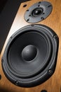 Wooden speaker Royalty Free Stock Photo