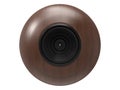 Wooden sphere camera