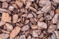 Wooden splinters close-up. Decorative wood chips texture Royalty Free Stock Photo