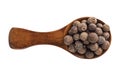 Wooden spoon with allspice seeds isolated on a white background Royalty Free Stock Photo