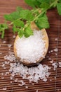 Wooden spoon with bath salt Royalty Free Stock Photo